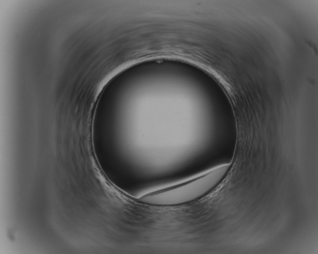 X0000091961534200709061049