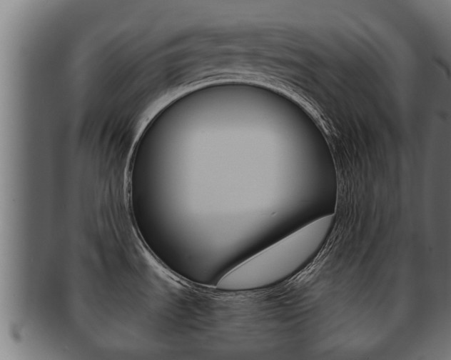 X0000091961535200709061049
