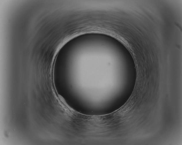 X0000091961536200709061050