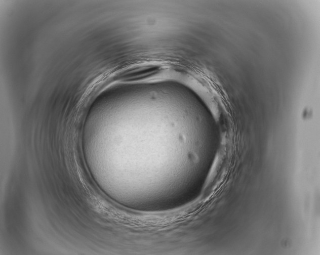 X0000091960001200709061311