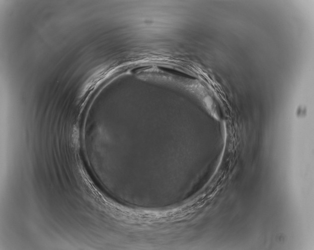 X0000091960002200709061311