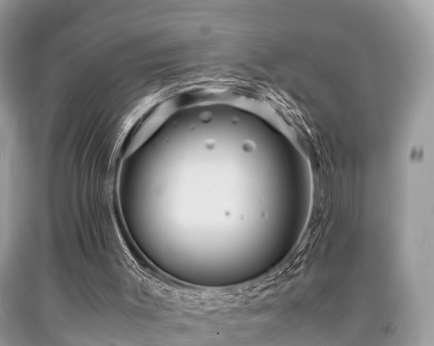 X0000091960003200709061311