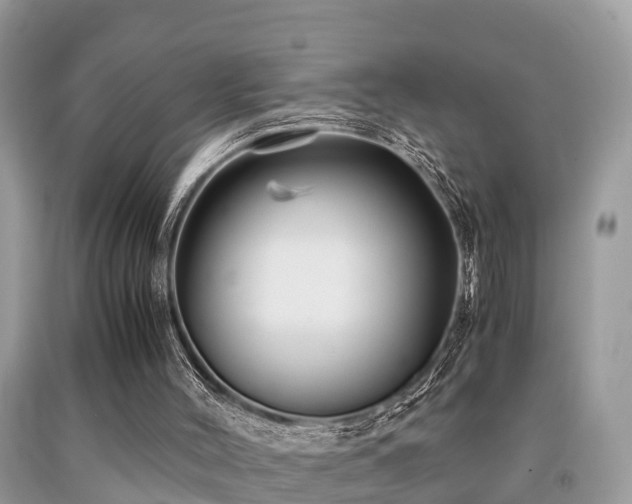 X0000091960004200709061311