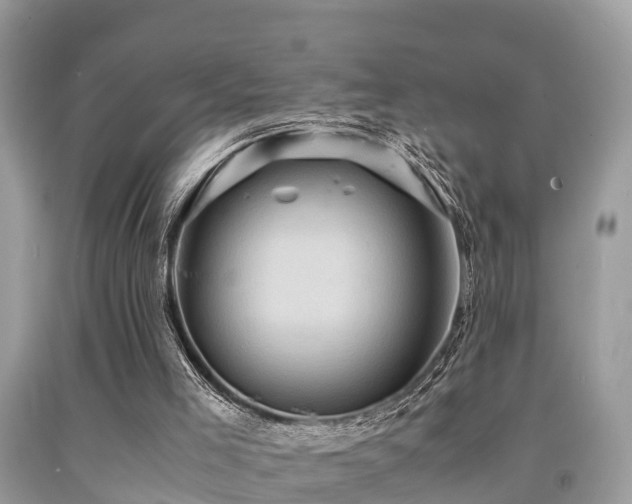 X0000091960005200709061311