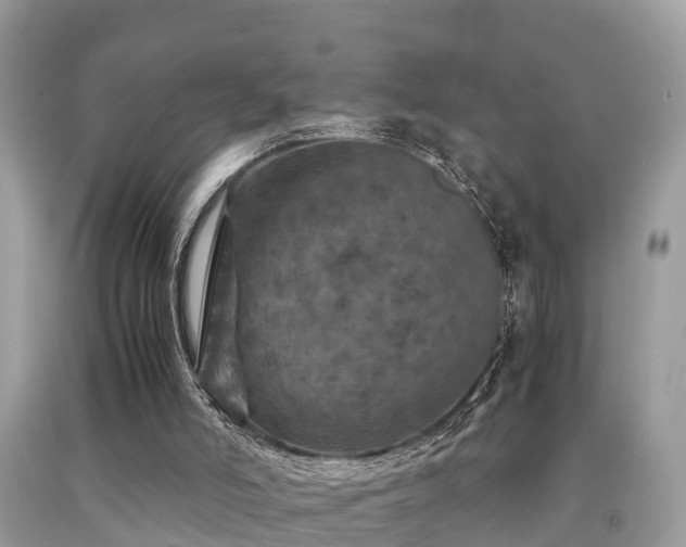 X0000091960006200709061311