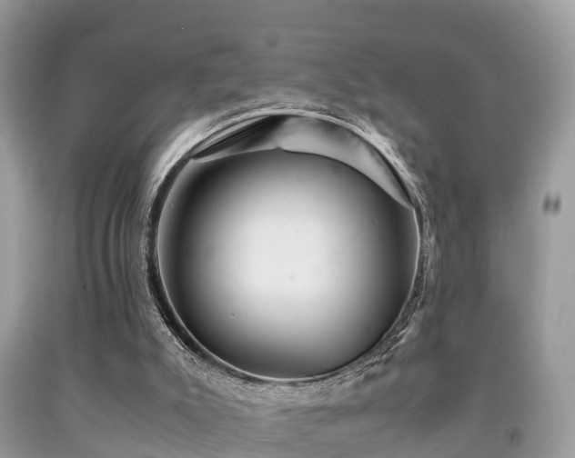 X0000091960007200709061311