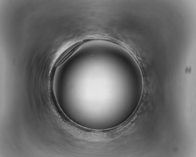 X0000091960008200709061311