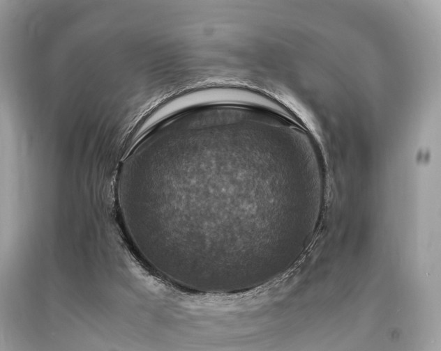 X0000091960009200709061311