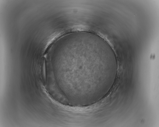 X0000091960010200709061311