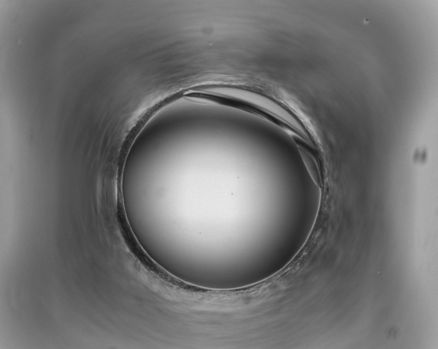 X0000091960011200709061311