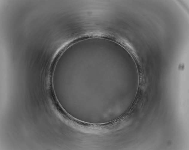 X0000091960012200709061310