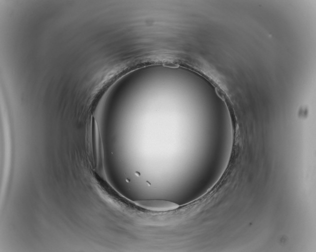 X0000091960013200709061310