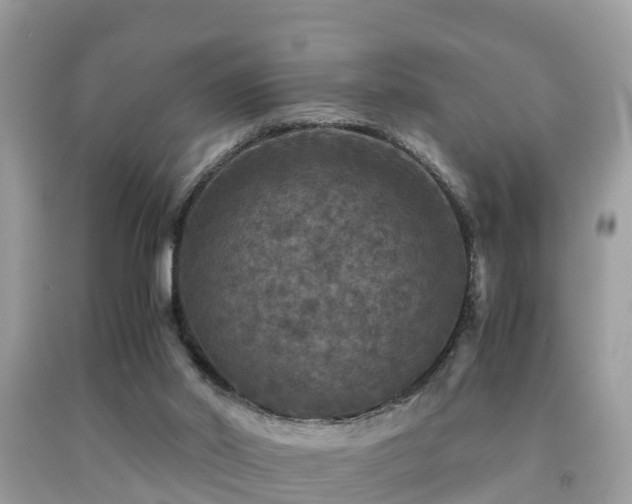 X0000091960014200709061310