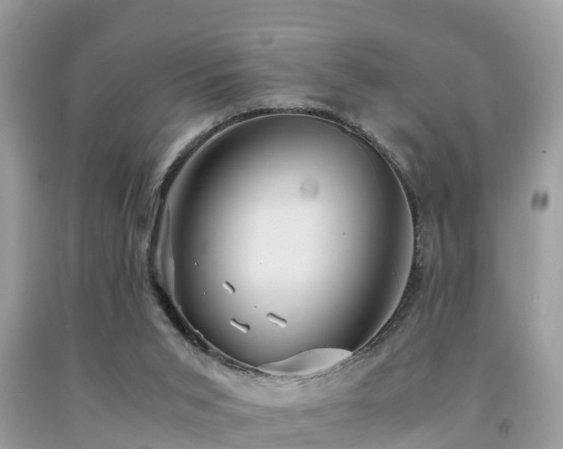 X0000091960015200709061310