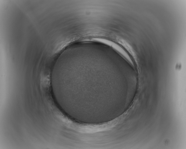 X0000091960017200709061310