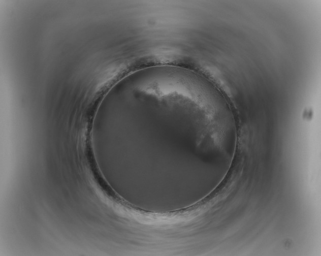 X0000091960018200709061310