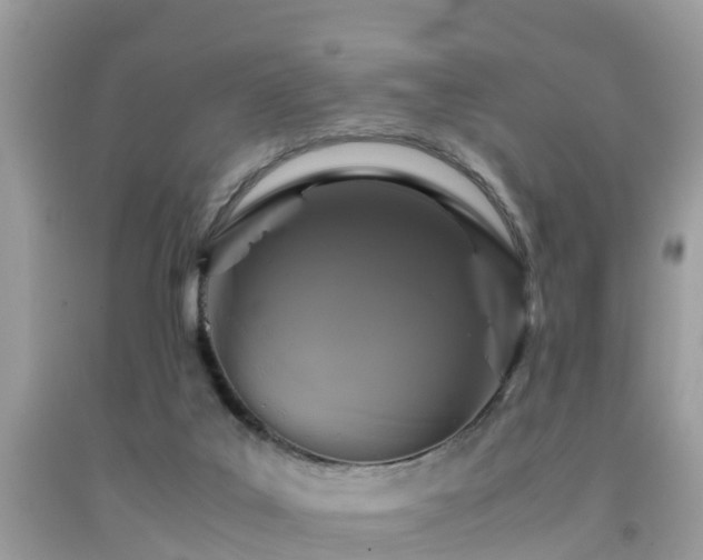 X0000091960019200709061310