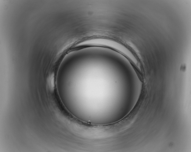 X0000091960020200709061310