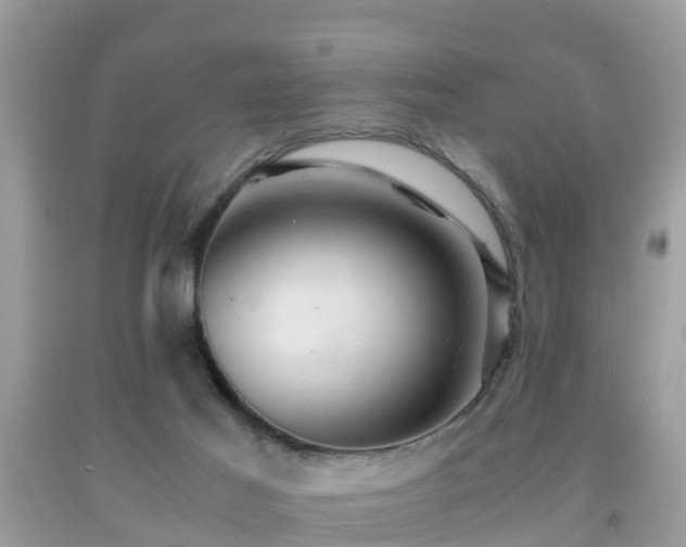 X0000091960021200709061310