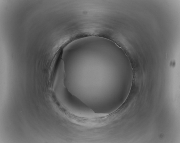 X0000091960023200709061310