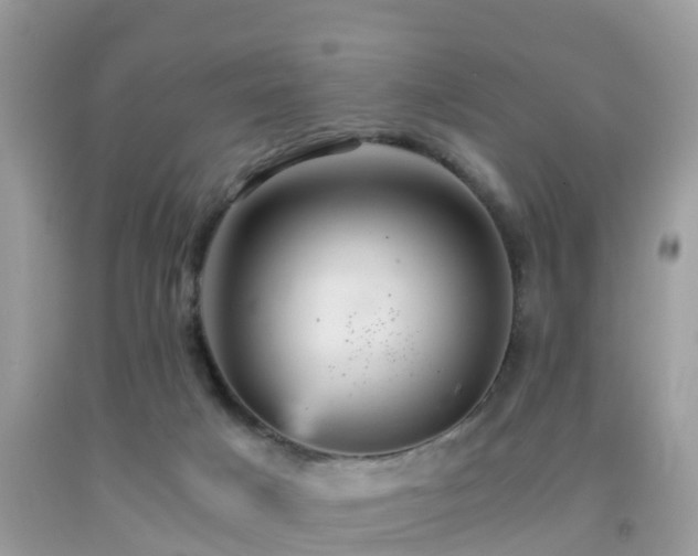 X0000091960025200709061310