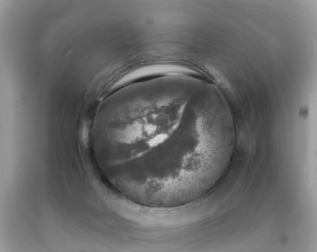 X0000091960026200709061310