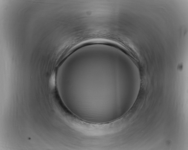 X0000091960027200709061310