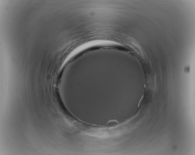 X0000091960029200709061310