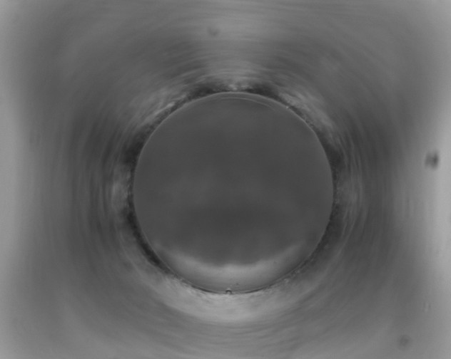 X0000091960030200709061310