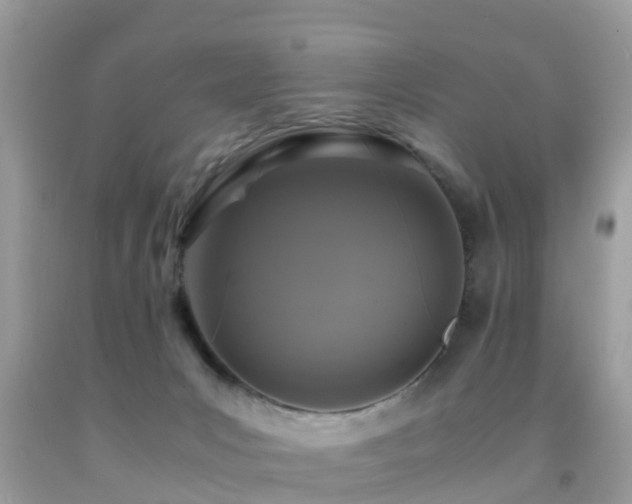 X0000091960031200709061310