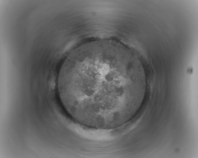 X0000091960032200709061310