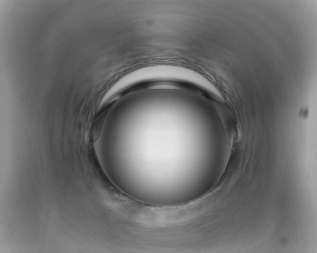 X0000091960033200709061310