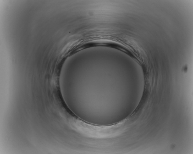 X0000091960035200709061310