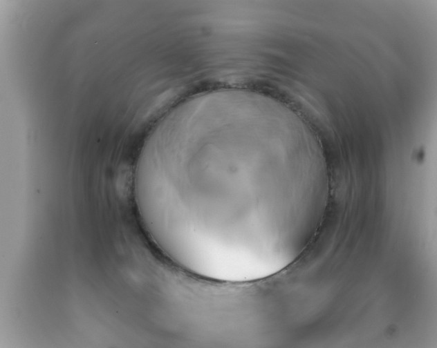 X0000091960036200709061310