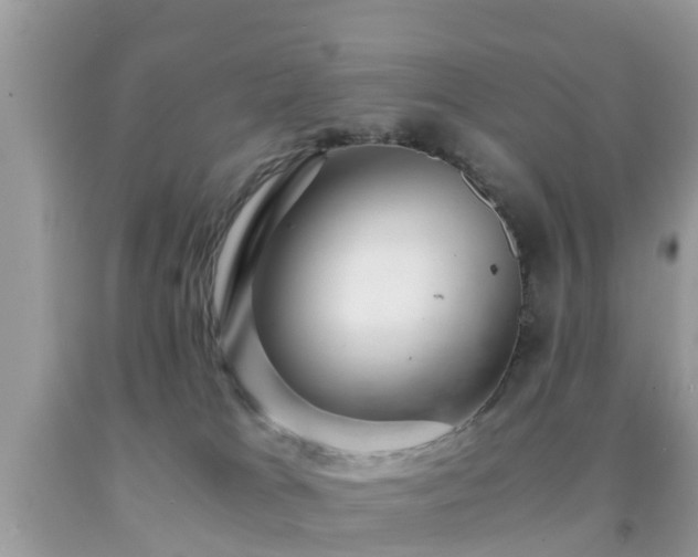 X0000091960037200709061310