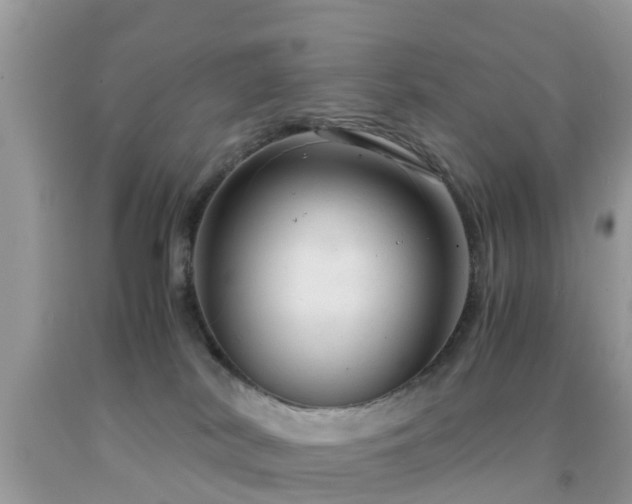 X0000091960038200709061310