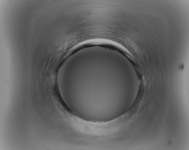 X0000091960039200709061310