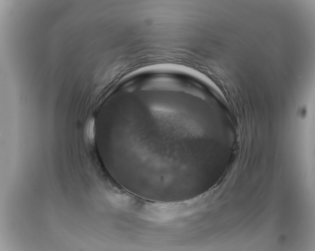 X0000091960041200709061310