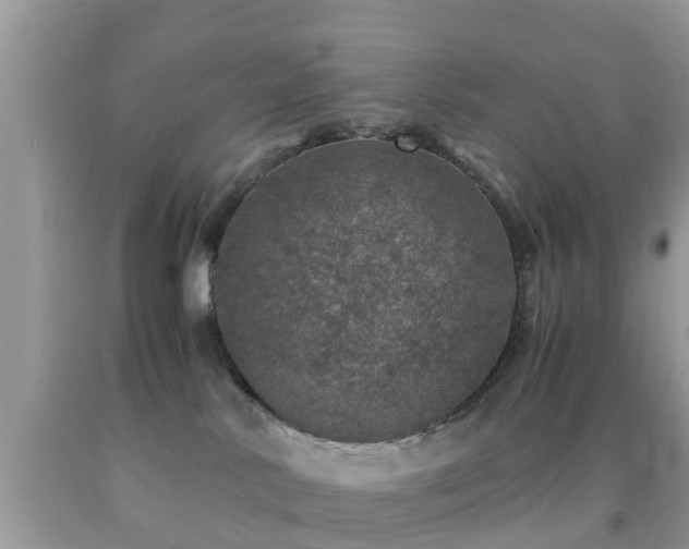 X0000091960042200709061310