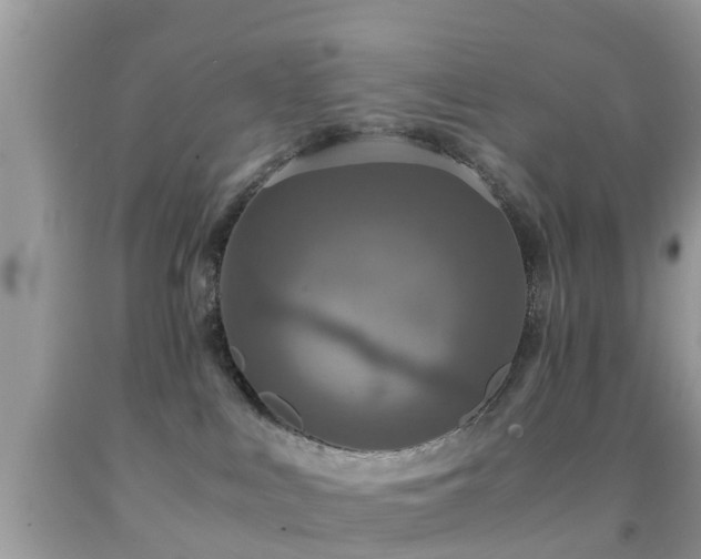 X0000091960043200709061310