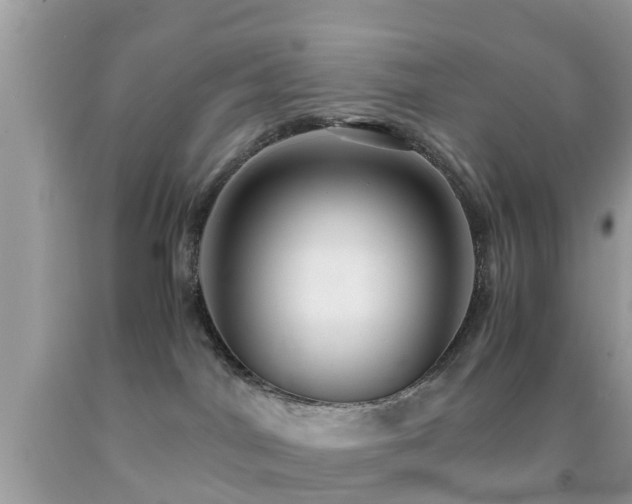 X0000091960044200709061310