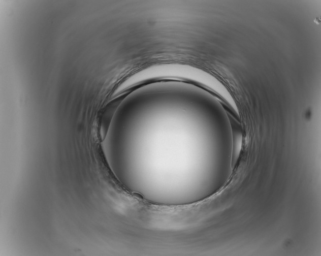 X0000091960045200709061310