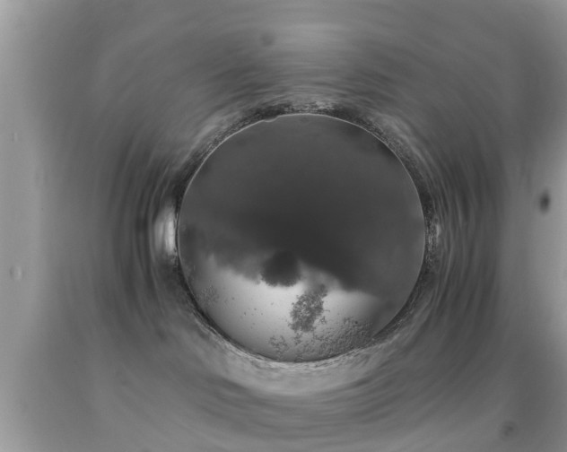 X0000091960046200709061310