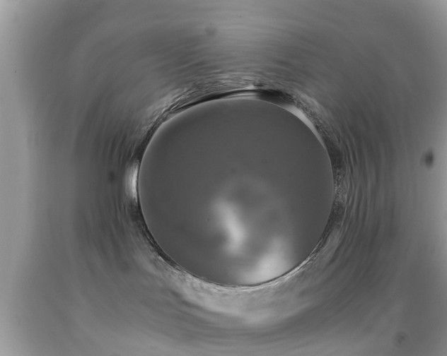 X0000091960047200709061310