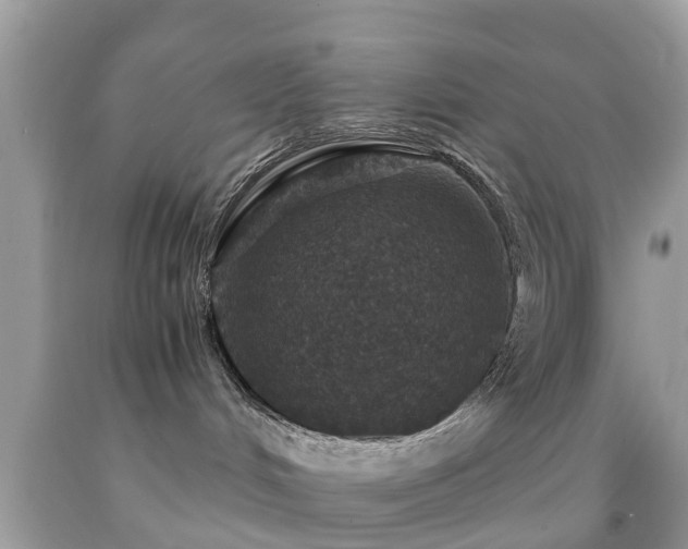 X0000091960048200709061310