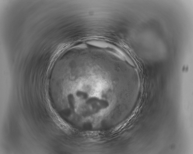 X0000091960049200709061309