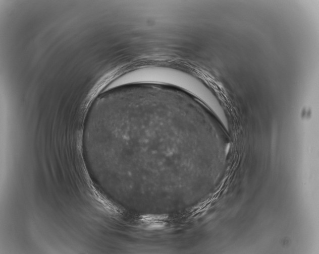 X0000091960051200709061309