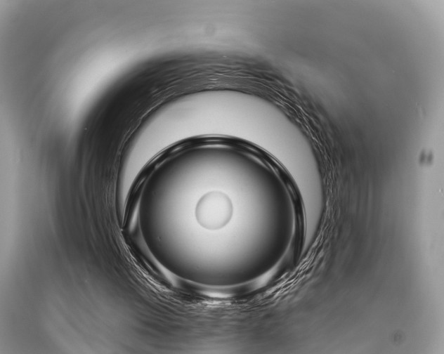 X0000091960052200709061309