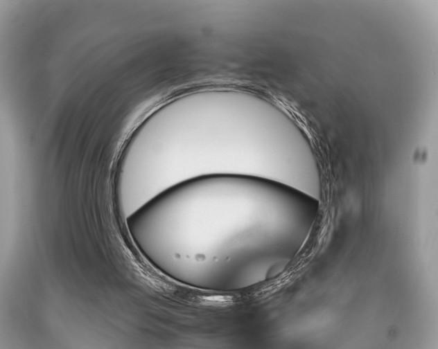 X0000091960053200709061309