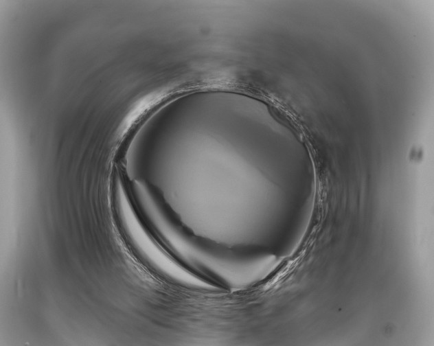 X0000091960054200709061309